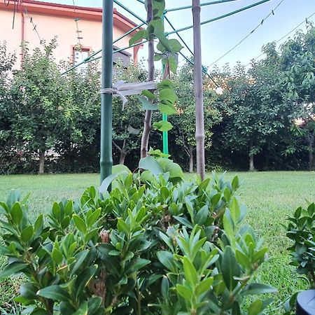 Vila Vasile Năvodari Екстериор снимка