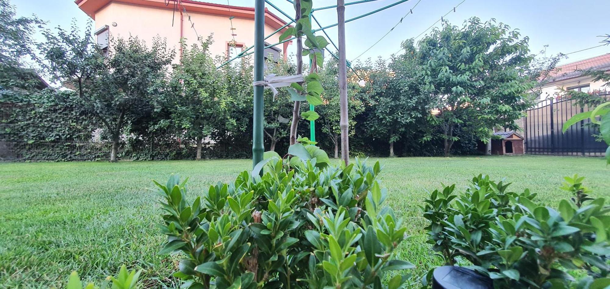 Vila Vasile Năvodari Екстериор снимка