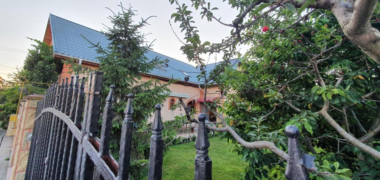Vila Vasile Năvodari Екстериор снимка