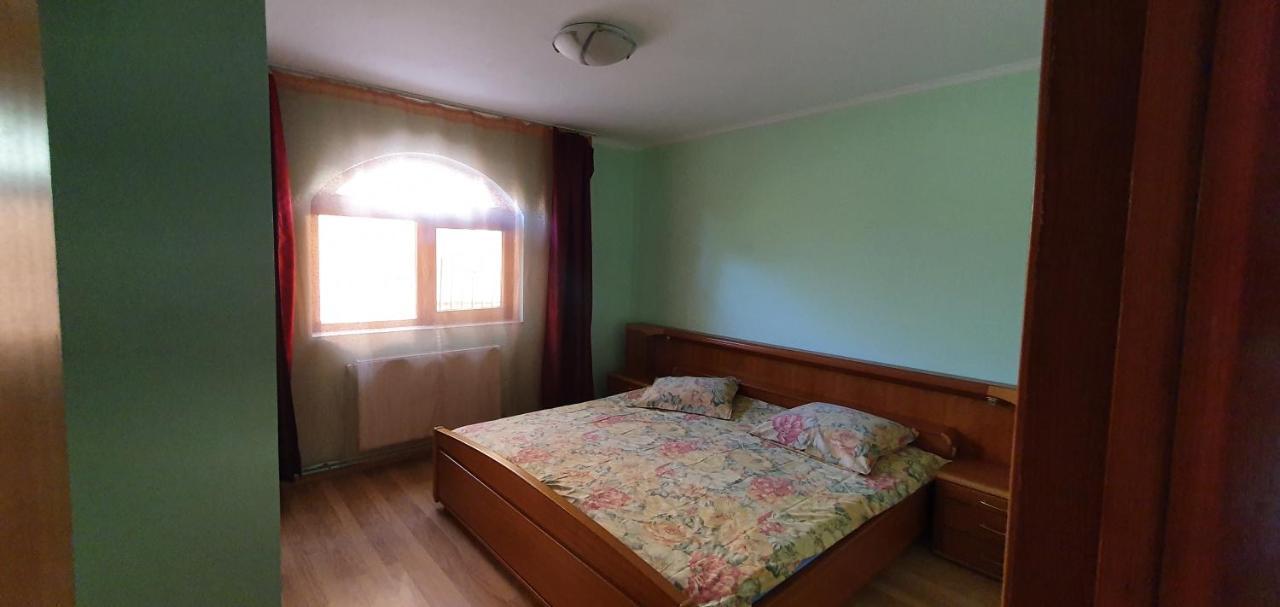 Vila Vasile Năvodari Екстериор снимка